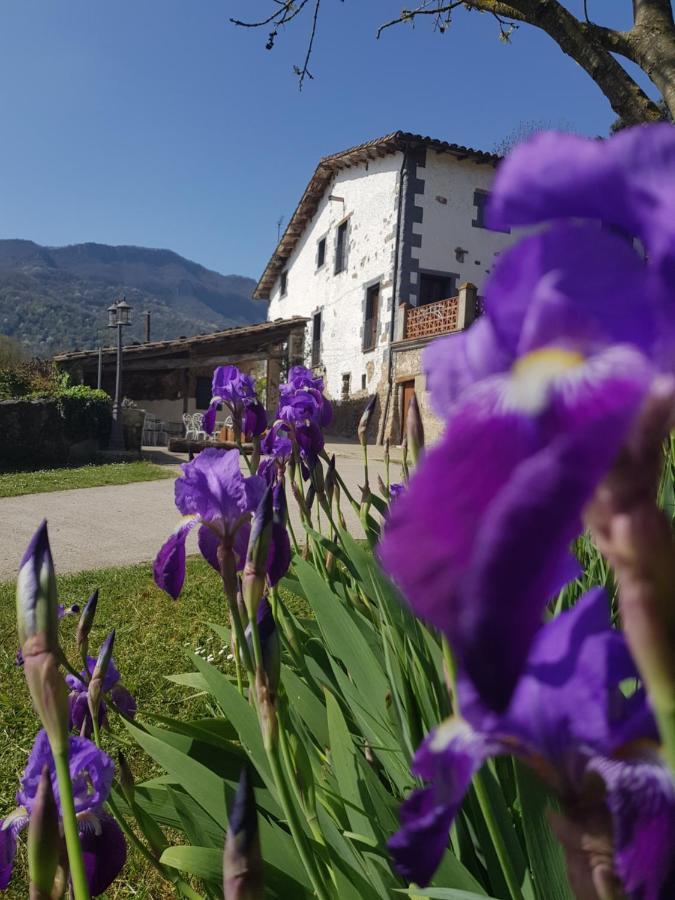Mas Rubio Konuk evi Joanetes Dış mekan fotoğraf