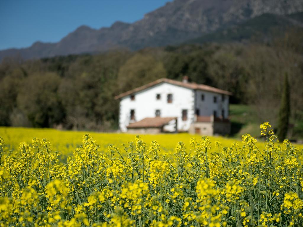 Mas Rubio Konuk evi Joanetes Dış mekan fotoğraf